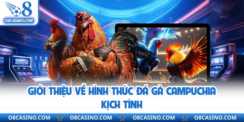 Giới thiệu về hình thức đá gà Campuchia kịch tính