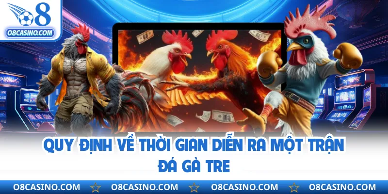 Quy định về thời gian diễn ra một trận đá gà tre